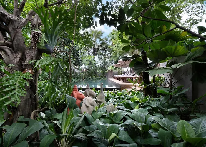 The Nature & 4*