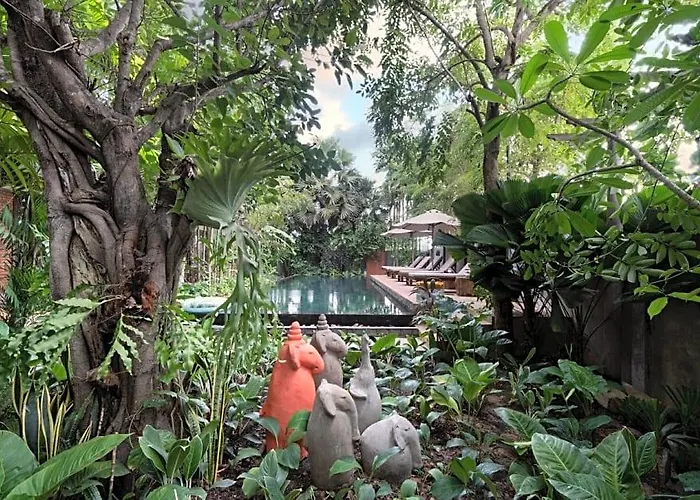 The Nature & Hotel Siem Reap